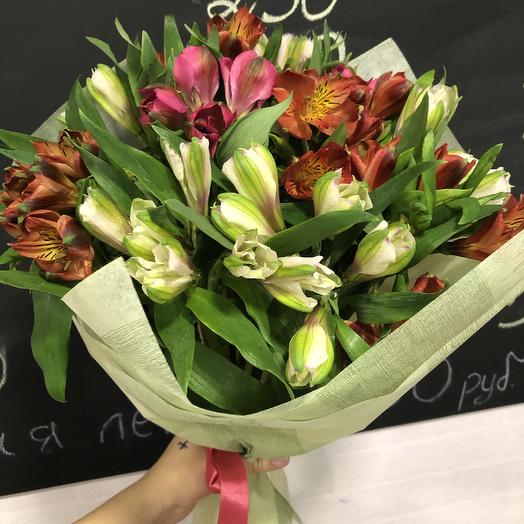 Alstroemeria