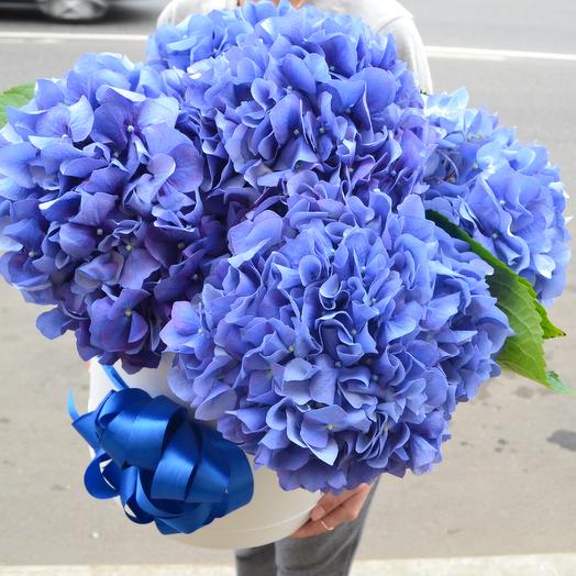 Небесное сияние