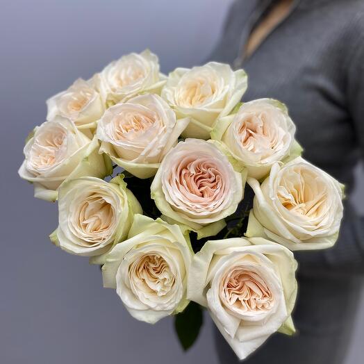 11 peony-shaped roses