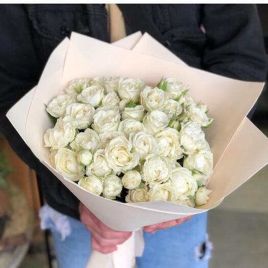 Bush roses