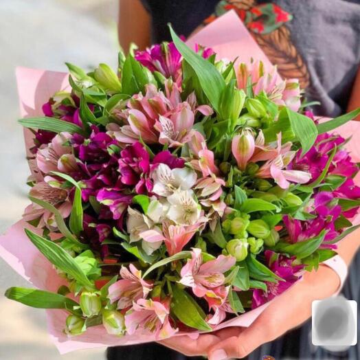 Alstroemeria (mezcla