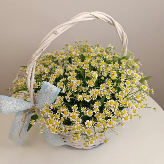 Корзина с ромашками
