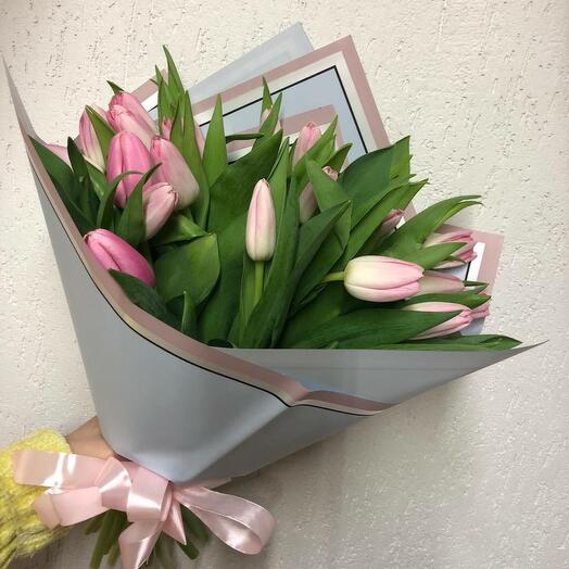 21 pink tulip