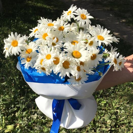 Chamomile