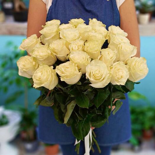 21 rosa blanca