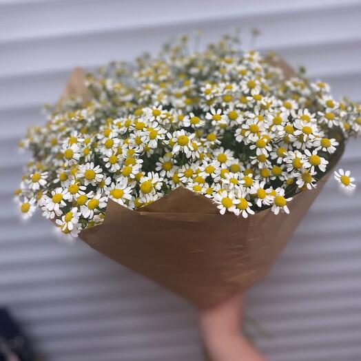 Ромашковый весенний букет