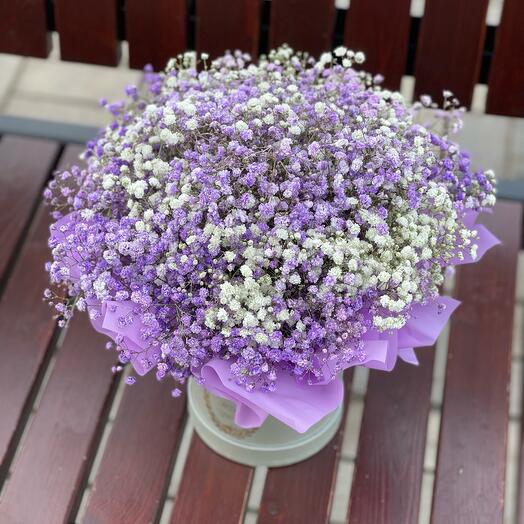 Lilac gypsophila in a box