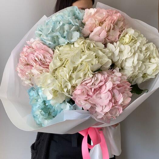 Bouquet of royal hydrangeas
