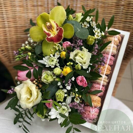 Композиция "Makarons Green"