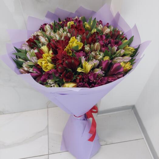 Alstroemeria 51pcs