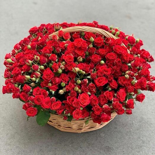 101 Bush Roses