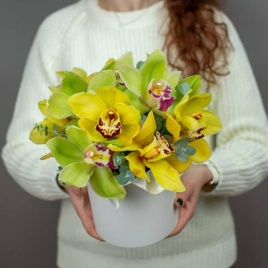 Juicy orchids in a box