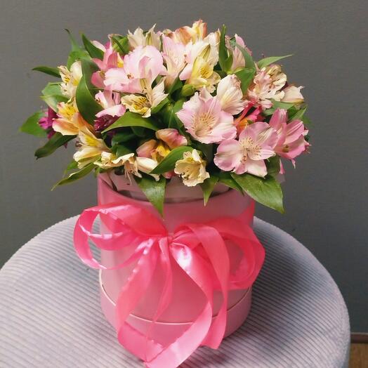 Alstroemeria