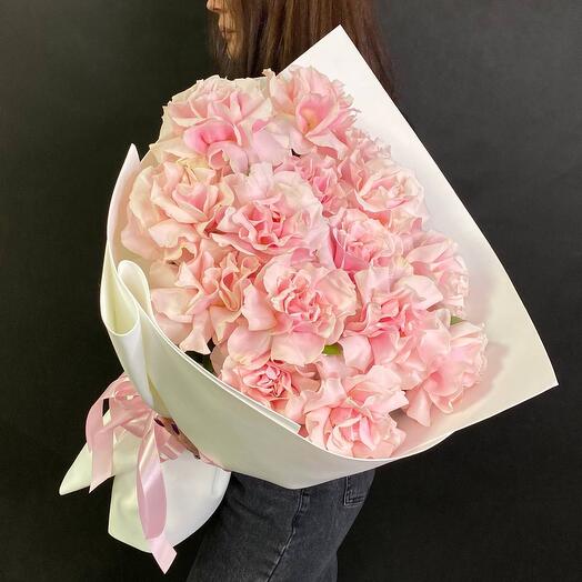 15 pink french roses