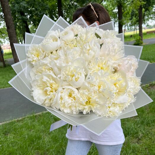 Букет из 25 Шикарных Белых Пионов в Дизайнерской упаковке
