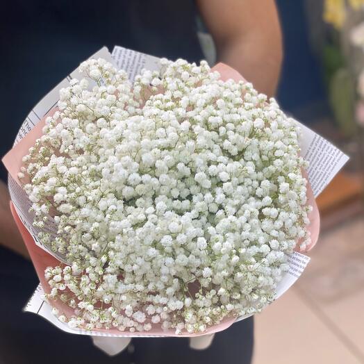 «Снежок»