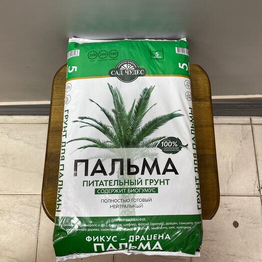 Грунт пальма