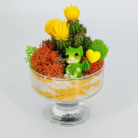 Открытый мини флорариум на офисный стол с кактусом и драконом