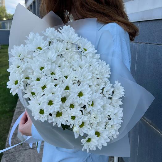 Хризантемы - Как ромашки в упаковке