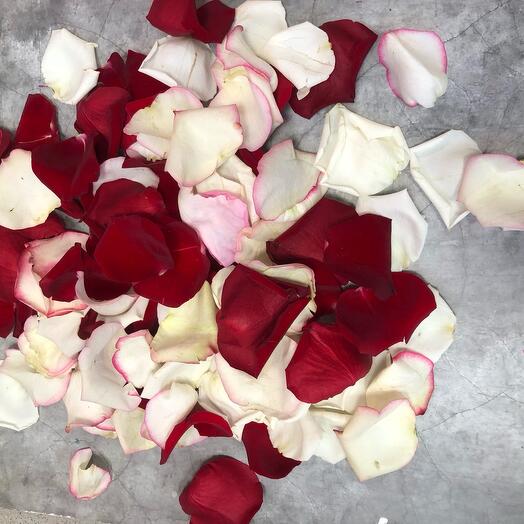 Rose petals