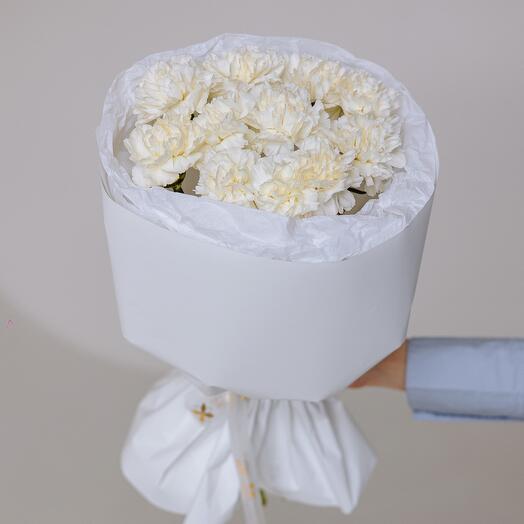 Monobloque de 11 Dianthus