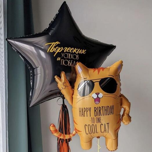 Birthday balloons for creative cat