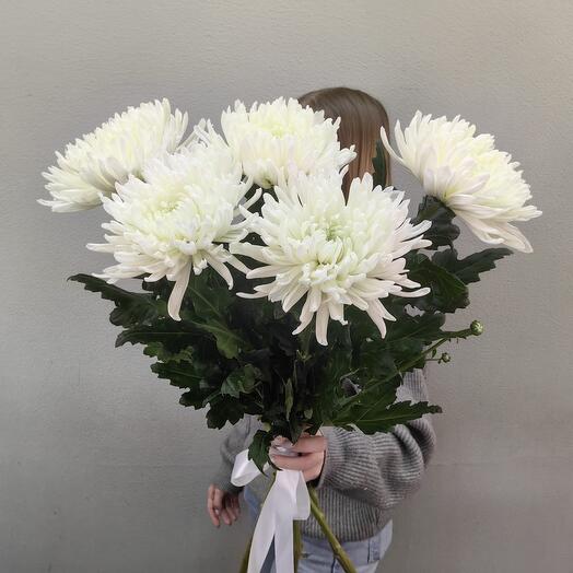 Букет из 5 белых хризантем