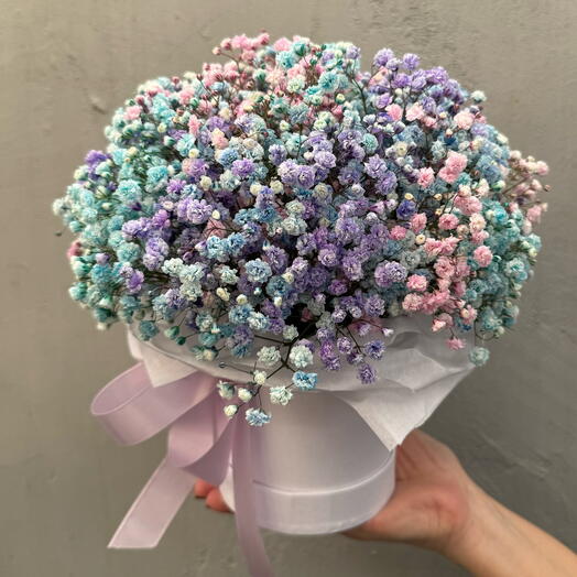 Gypsophila in a Rainbow box