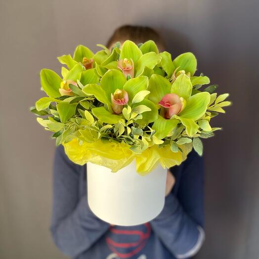 Яркие орхидеи в коробке