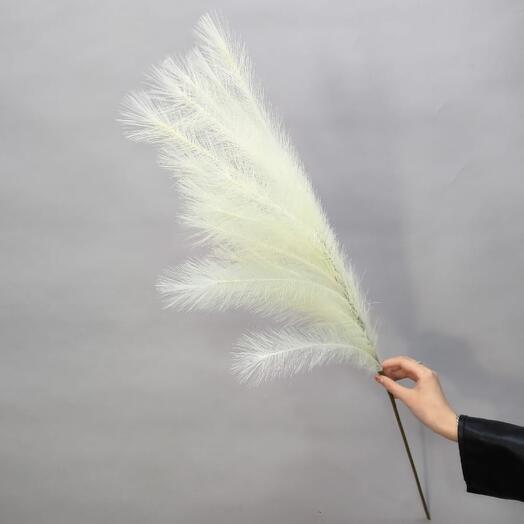 Пампасная трава высокая желтая