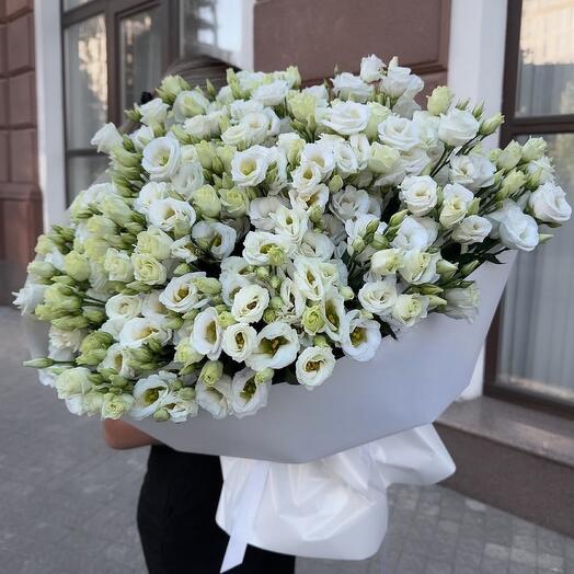Стойкие цветы