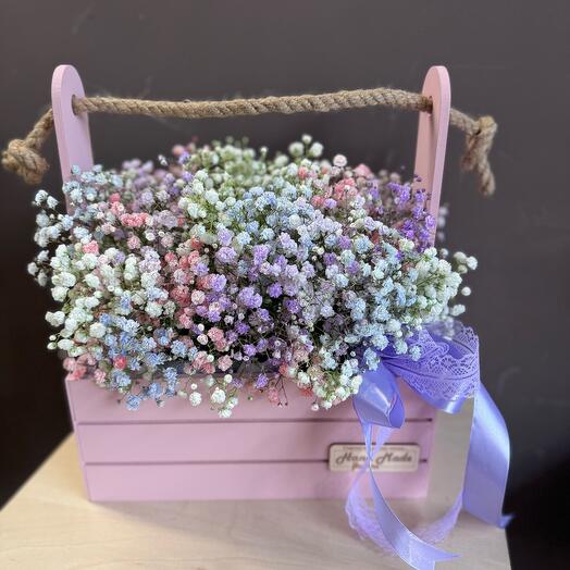 Гипсофила в ящике