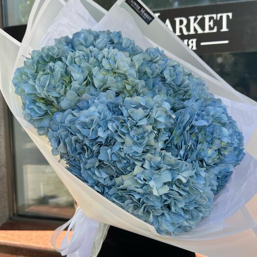 Hortensias aéreas