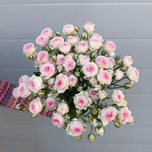 Bouquet of bush roses 9 pieces