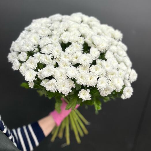 САНТИНИ БЕЛЫЙ 25