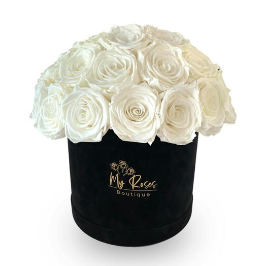 Black Velvet Box With 36 White Roses