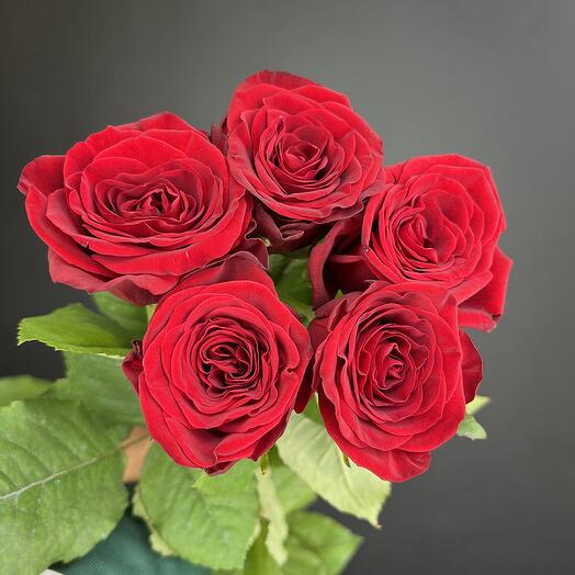 Ramo de 5 rosas rojas red Naomi