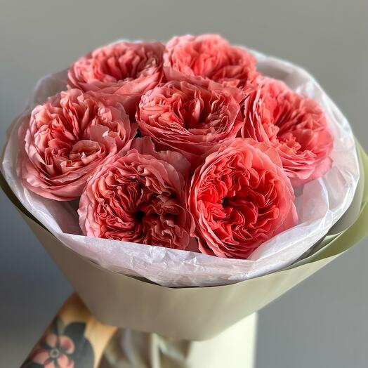 7 Peony-shaped Pink Expression Roses