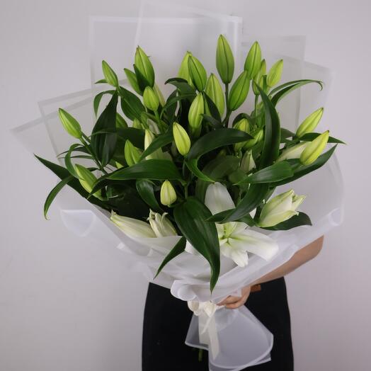 11 white lilies