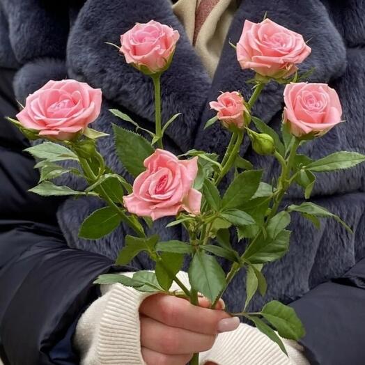 Кустовая роза ветка