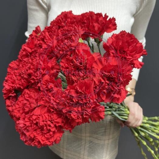 Bouquet of red carnations