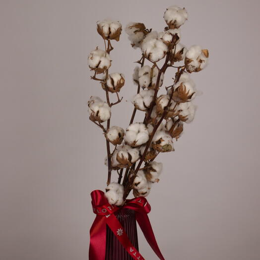 Christmas cotton stems