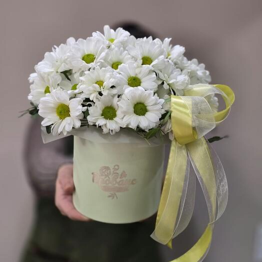 Композиция с ромашками