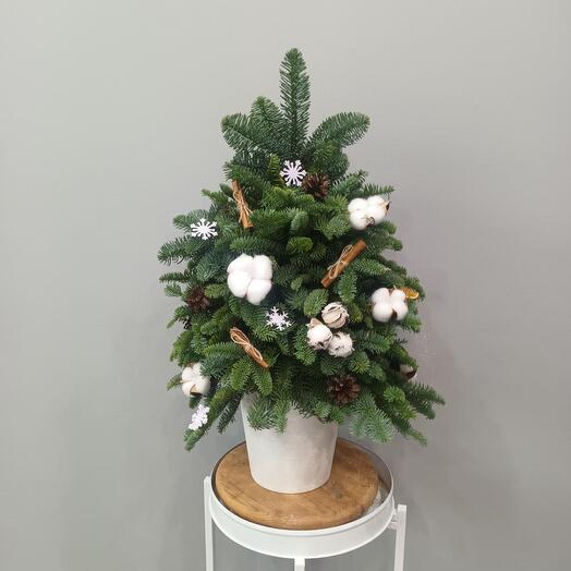 Елка из нобилиса с декором