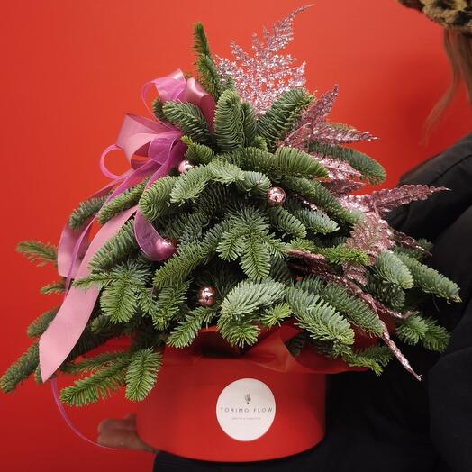 Пухлая композиция Елка из нобилиса