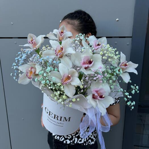 Белые орхидеи в коробке