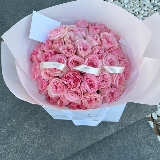 Wonderful Rose O Hara
