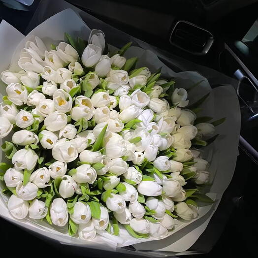 101 WHITE TULIPS