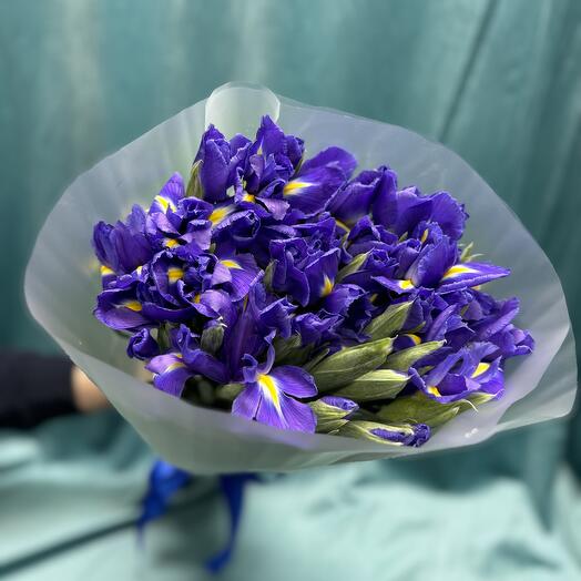 Ирисы Blue  Magic💙💙💙