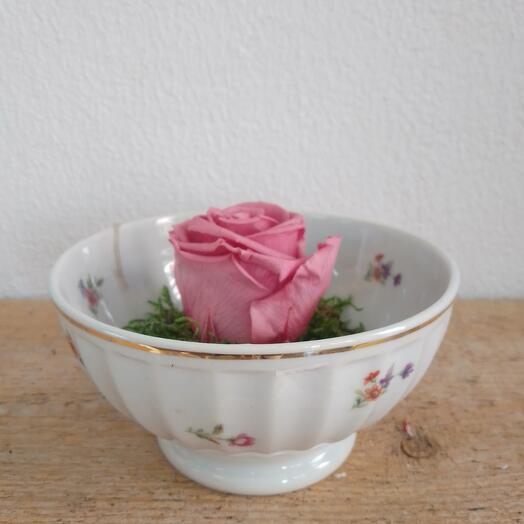 Rosa eterna en bol antigua